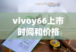 vivoy66上市时间和价格