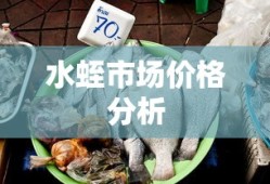 水蛭市场价格分析