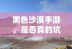 黑色沙漠手游，深度解析与探讨，是否真的坑？