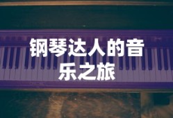 钢琴达人的音乐之旅，探索与激情的交响乐章