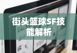街头篮球SF技能解析与实战应用，街头篮球SF技能深度解析与实战指南