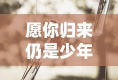 愿你归来仍是少年全文免费阅读