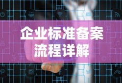 企业标准备案流程详解