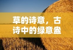 古诗中的绿意盎然，草的诗意
