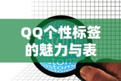 QQ个性标签的魅力与表达艺术