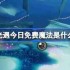 光遇2.27免费魔法是什么-光遇2月27日免费魔法收集攻略