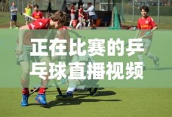 正在比赛的乒乓球直播视频