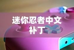 迷你忍者中文补丁，游戏爱好者的福音选择
