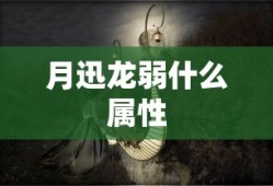 月迅龙弱什么属性