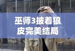 巫师3披着狼皮完美结局