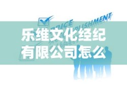 乐维文化经纪有限公司怎么样