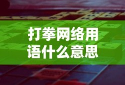打拳网络用语什么意思