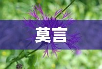 莫言