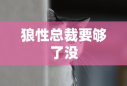 狼性总裁要够了没