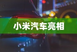 铁石心肠2019免费观看中文版