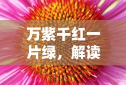 解读人民币的魅力，万紫千红一片绿