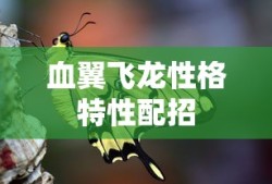 血翼飞龙性格特性配招