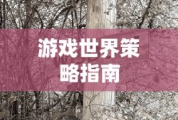 窦尔博