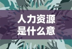 人力资源是什么意思又是什么工作