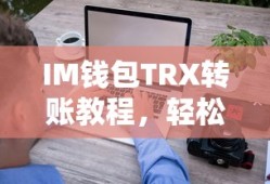 刀剑神域虚空断章怎么存档