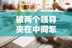 被两个领导夹在中间怎么办......
