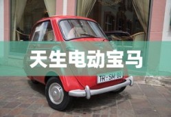 天生电动宝马