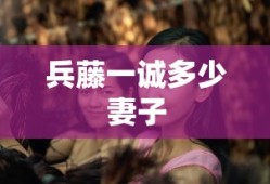兵藤一诚多少妻子