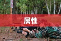 托拉姆物语：属性强化打造指南