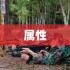 托拉姆物语：属性强化打造指南