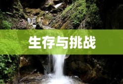 死亡岛激流，生存与挑战的存档