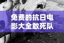 热血三国9万轻骑打县城