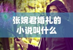 张婉君婚礼的小说叫什么