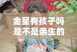 三国乱世套装大全图鉴