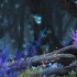 ff14演技教材优雅仙人刺获得方法 优雅仙人刺动作习得攻略