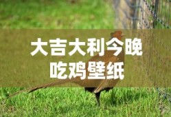 大吉大利今晚吃鸡壁纸