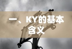 KY的基本含义，直译自英文Know Yourself，即认识自己。
