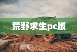 荒野求生pc版