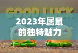 传世挂机下载