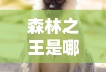 森林之王是哪个动物?