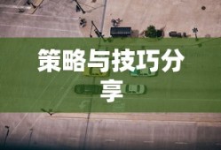 手游遇见组队攻略，策略与技巧分享