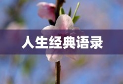 吴悦智慧箴言，人生经典语录集锦