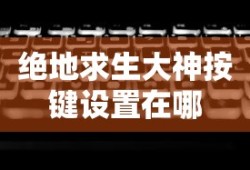 绝地求生大神按键设置在哪