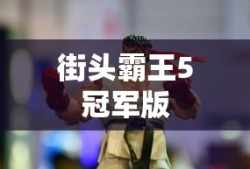 街头霸王5冠军版