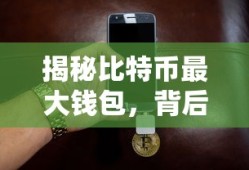 揭秘比特币最大钱包，背后的故事及其对市场的影响