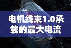 nba2019选秀顺位