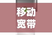 会计凭证分类标准