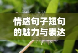 情感句子短句的魅力与表达艺术