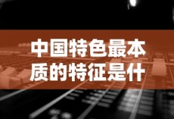 中国特色最本质的特征是什么