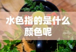 水色指的是什么颜色呢