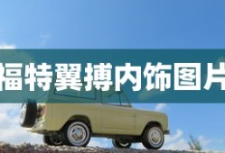 福特翼搏内饰图片